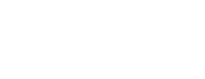 Strzelin Signature